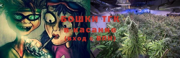 амф Каменка